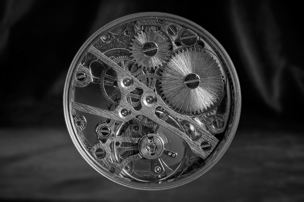 Cognition