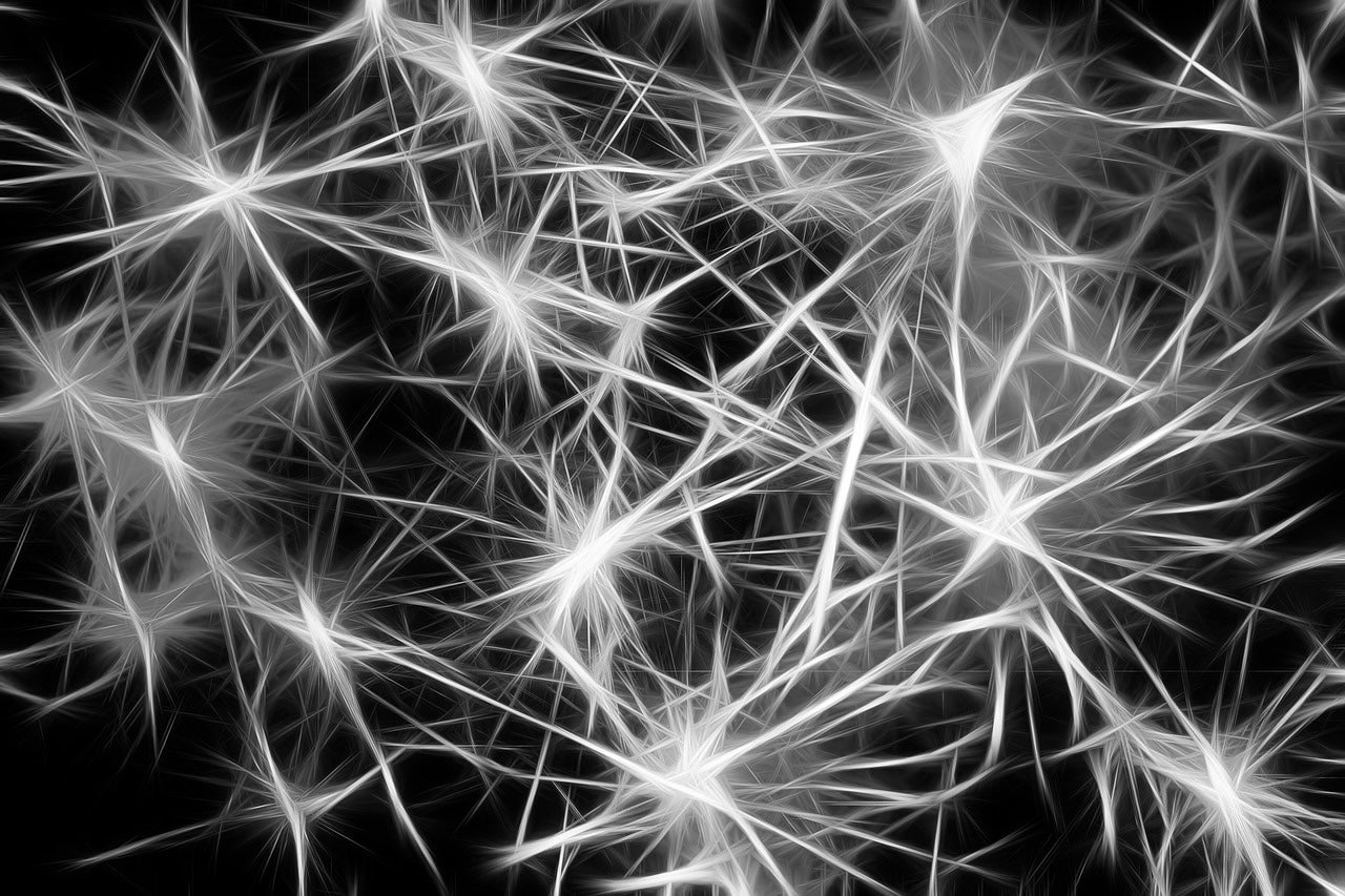Neuroscience